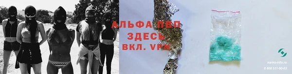 стафф Волоколамск